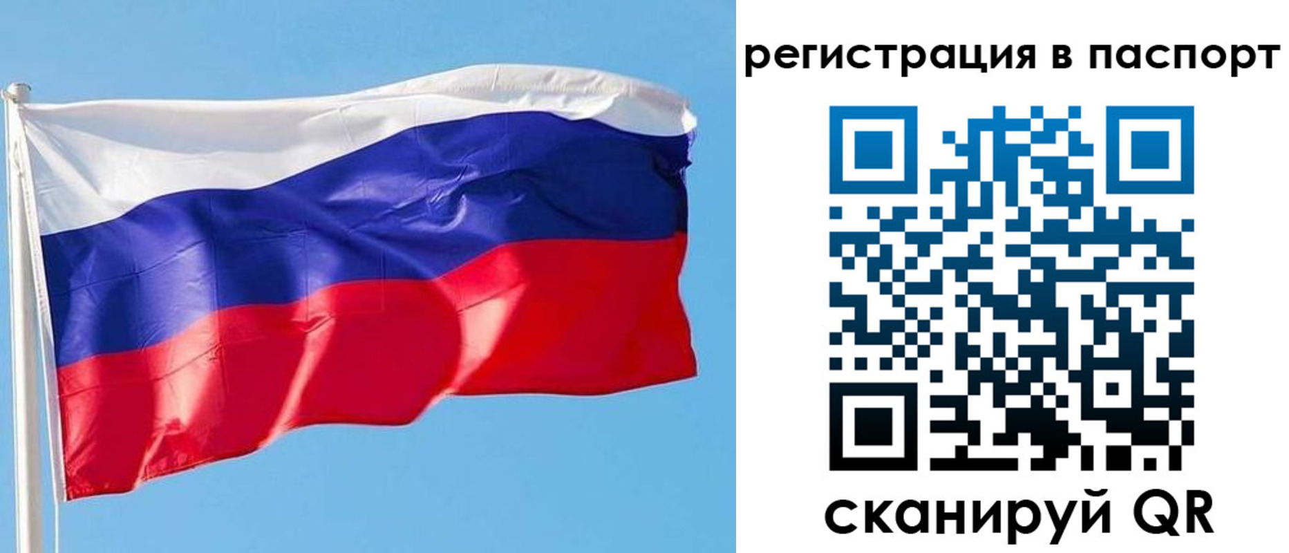 прописка законно в Бокситогорске